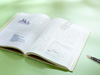 Investor Relations