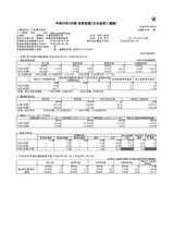 平成25年3月期 決算短信