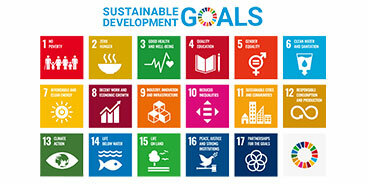 SDGs