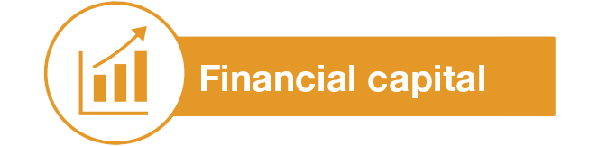 Financial capital