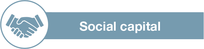 Social capital