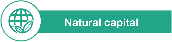 Natural capital
