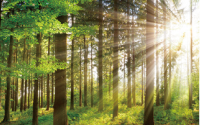 Decarbonization and realization of a recyclingoriented society