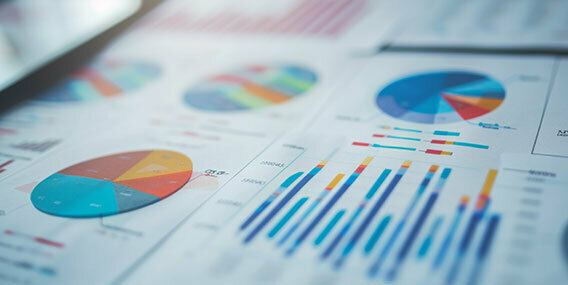 Material Issues and KPIs