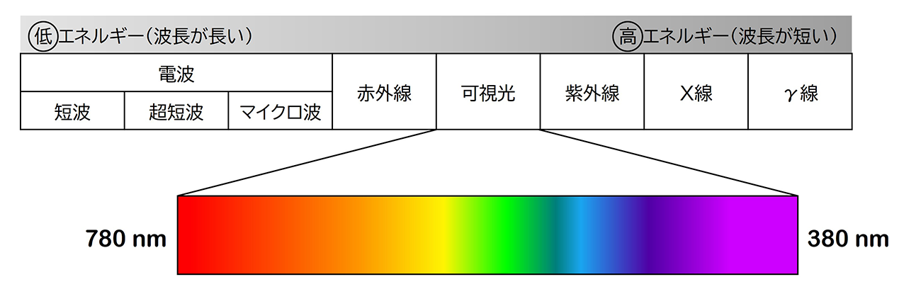 可視光線の波長イメージ