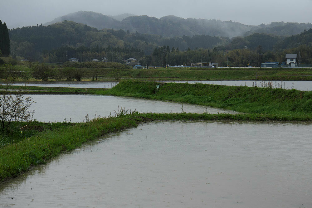 水田の治水機能イメージ