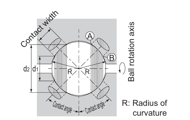 Cross-section showing ball contact with a Gothic-arch groove