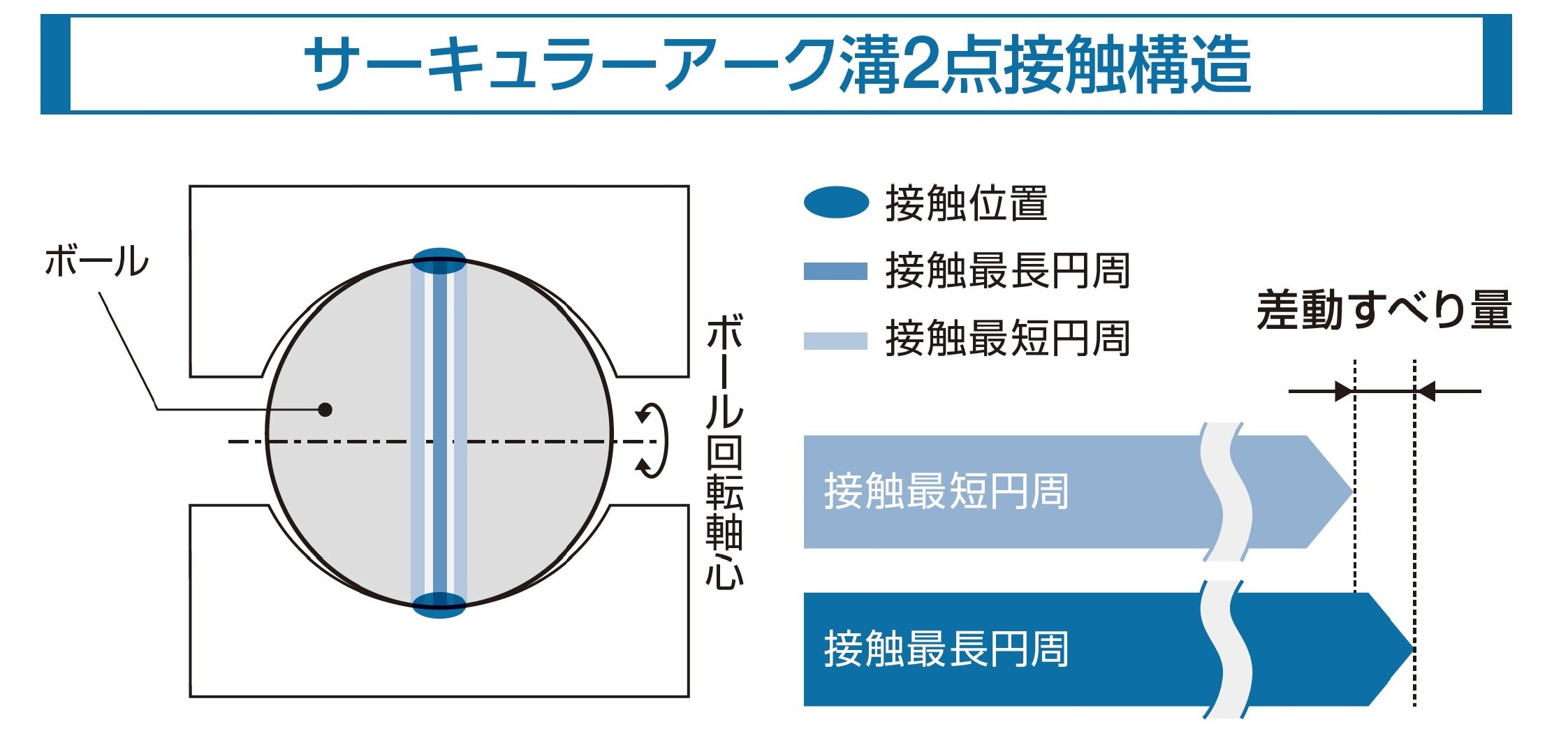 サーキュラーアーク溝２点接触構造