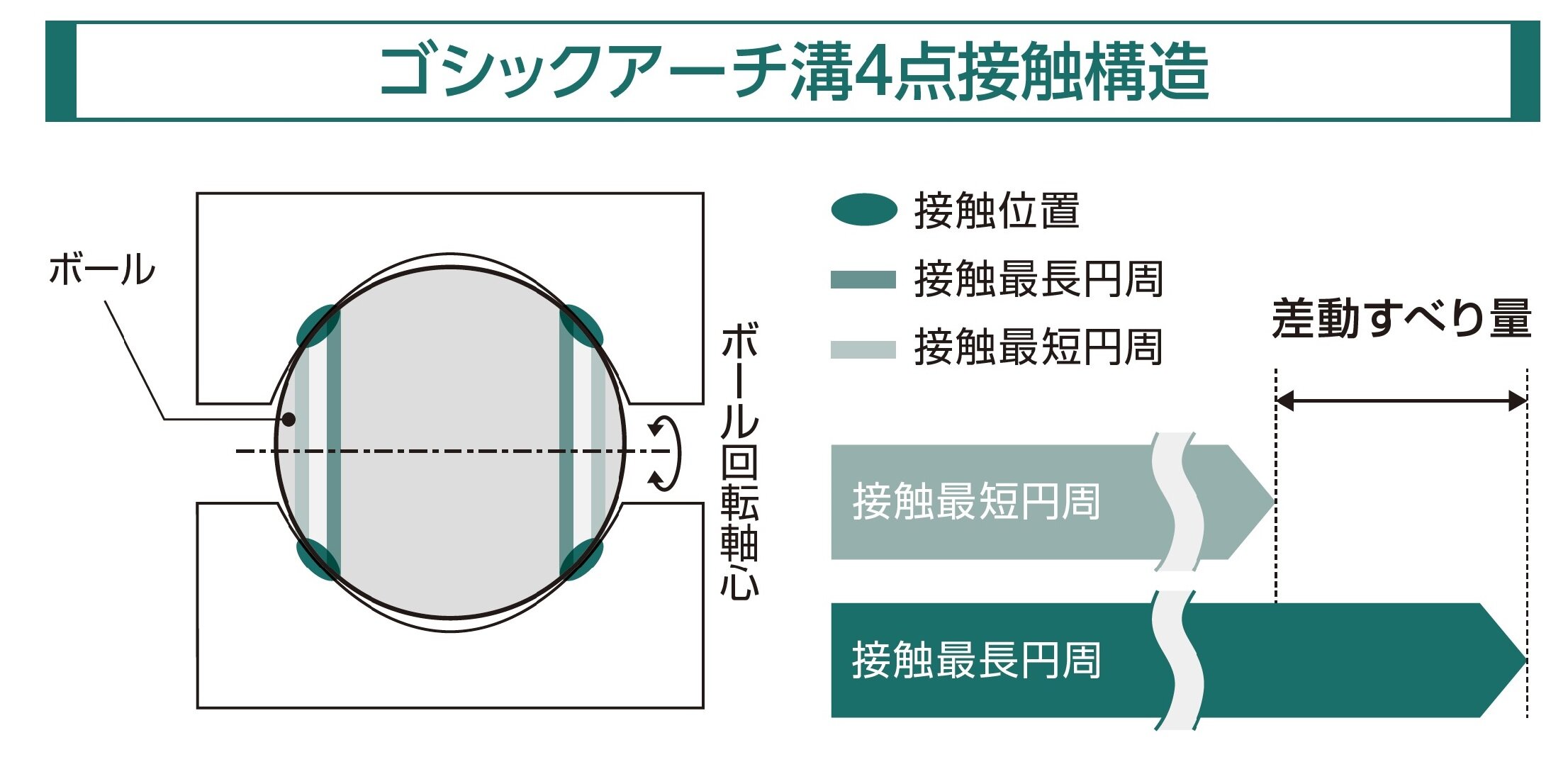 ゴシックアーチ溝4点接触構造