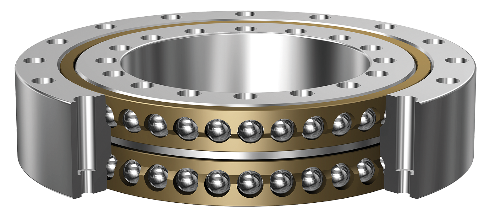 Structure of the angular contact ball bearing BWH