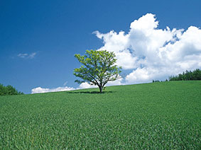 Conservación medioambiental