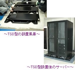 TSD型