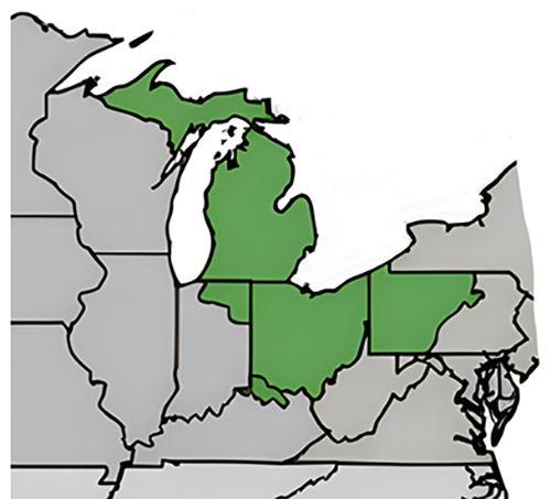 East Midwest